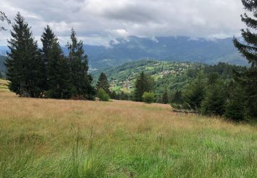 Trail Walking Geishouse - Geishouse-Kapitaenstressla-Faucon Crécerelle - Photo