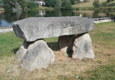 Trail On foot Fournols - Fournols - Puy du Sapt - Photo