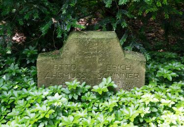 Tocht Te voet Detmold - Rundwanderweg KlimaErlebnisRoute Hiddeser Bent - Photo