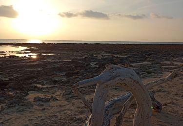 Tocht Stappen Porto Cesareo - reserve Porto cesario  - Photo