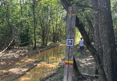 Trail Walking Arthémonay - Reculais 06 2024 - Photo