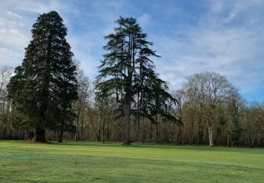 Tocht Stappen Montrieux-en-Sologne - montrieux petit - Photo