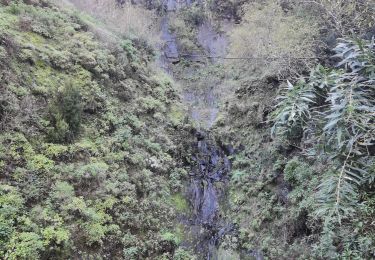 Randonnée Marche Curral das Freiras - xurral das freiras - Photo