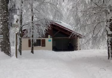 Excursión Raquetas de nieve La Bresse - BRAMONT raquettes - Photo