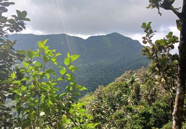 Tour Wandern Le Lorrain - Le defi - Photo