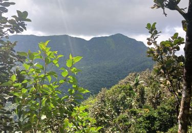 Trail Walking Le Lorrain - Le defi - Photo