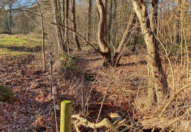 Tour Zu Fuß Wenzendorf - Wander-Verbindung Buchholz-Drestedt - Photo