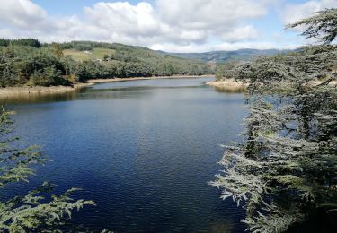 Trail Walking Savas - 07 Lac du ternay / croix des Blaches 8km 230M - Photo