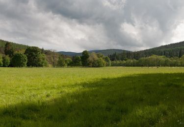 Tour Zu Fuß  - Old Pines - Photo