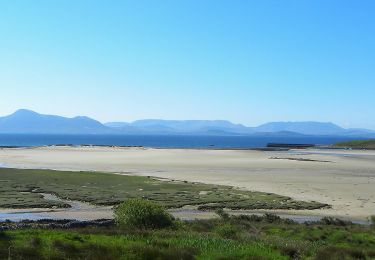 Tour Zu Fuß Westport-Belmullet Municipal District - Lookout Hill Loop Walk - Photo