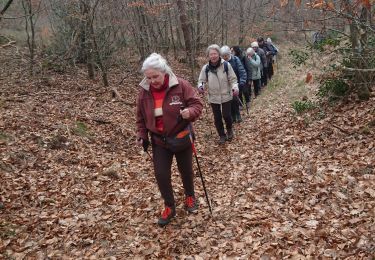 Trail Walking Fontainebleau - carrefour Acheté 3 février 2023 - Photo