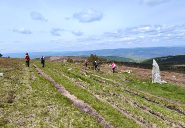 Tocht Stappen Cubières - Mont Lozère/ Sommet de Finiels - Photo