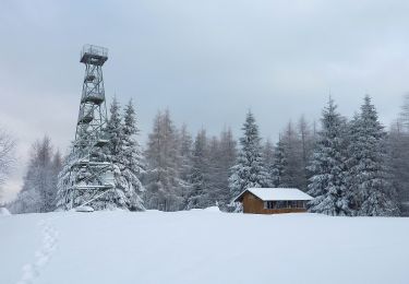 Trail On foot Grünenplan - HZ3 Auf dem Kammweg zum Raabe-Turm - Photo