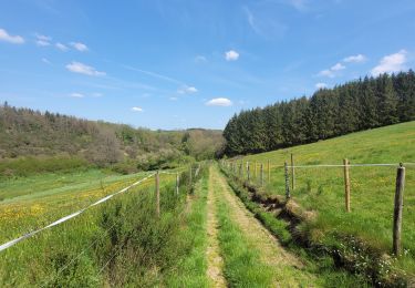 Tocht Stappen Fauvillers - rando honville 18-05-2023 - Photo