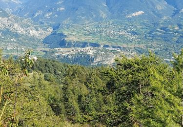 Randonnée Marche L'Argentière-la-Bessée - pinfol - Photo