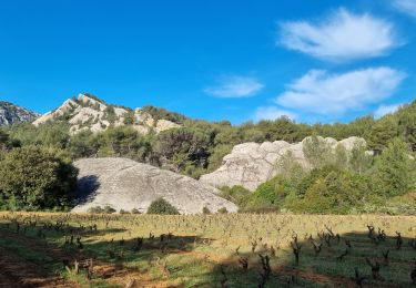 Trail Walking Évenos - Grès de Ste Anne retour carrière by DAL - Photo
