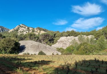 Excursión Senderismo Évenos - Grès de Ste Anne retour carrière by DAL - Photo