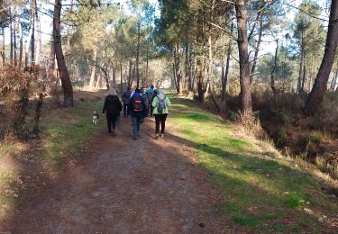 Percorso Marcia Pessac - Peugues  - Photo