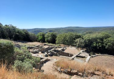 Randonnée Marche Le Pin - Le pin , la Garbie et oppidum - Photo