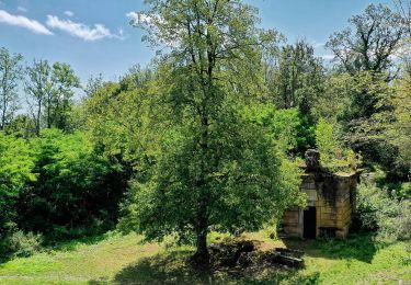 Tour Zu Fuß Blieskastel - DE-Libelle - Photo