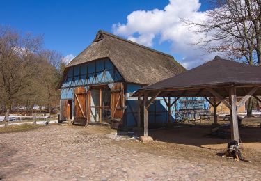 Randonnée A pied Suderburg - Waldgeschichtspfad Schooten - Photo