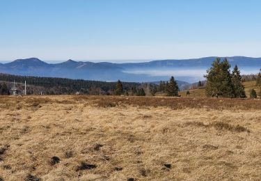 Trail Walking Le Hohwald - hohwald - champ du feu - Photo