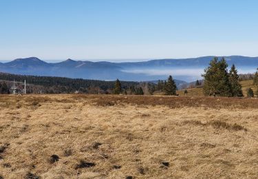 Excursión Senderismo Le Hohwald - hohwald - champ du feu - Photo