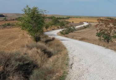 Randonnée Marche Cervatos de la Cueza - San Nicolas  - Photo