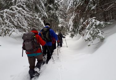 Trail Walking Le Gua - Epérimont - Photo