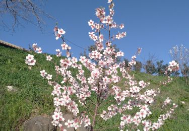 Randonnée Marche Mirabel - Mirabelle - Photo