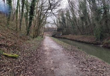 Randonnée Marche Palaiseau - Palaiseau  - Photo