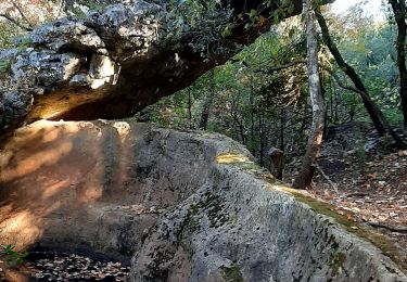 Tour Wandern Signes - la Garoute de Daniel  - Photo