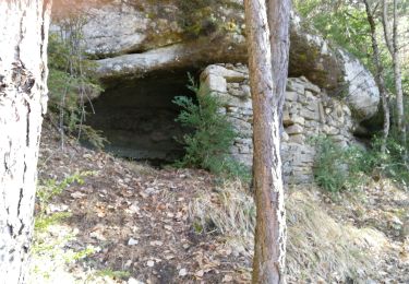 Tocht Stappen Châtillon-en-Diois - Reychas Creyers  - Photo