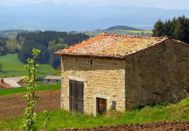 Trail Walking Le Vernet-Chaméane - Vernet_Varenne_Fialins - Photo
