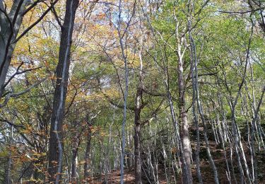 Randonnée Marche Aywaille - Ninglinspo GR Amblève  - Photo