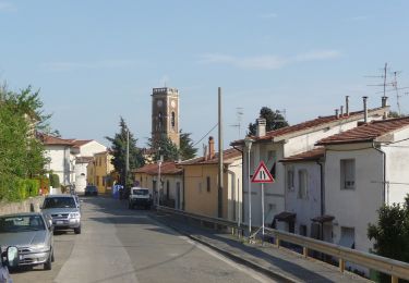 Tour Zu Fuß Collesalvetti - Strada del Mille - Photo