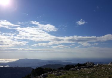 Tour Wandern Évenos - Mont Caume  sommet ouest - Photo