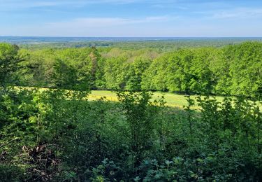 Trail Walking Arc-et-Senans - Arc et senans  - Photo