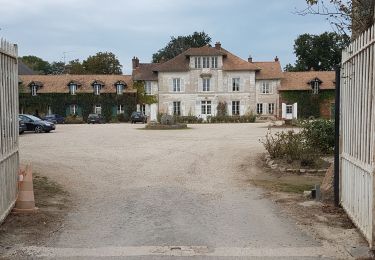 Randonnée Marche Jouy-en-Josas - 2021-09-25_Fuligule_Viltain-Jouy-Les Loges-St-Marc_16 km - Photo