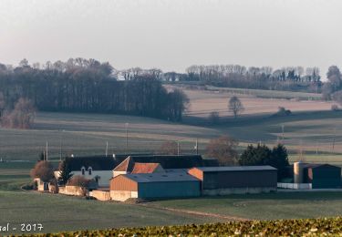 Trail Walking Berd'huis - Berd'huis - Saint-Pierre-la-Bruyère 8,7 Km - Photo