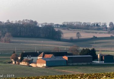 Tocht Stappen Berd'huis - Berd'huis - Saint-Pierre-la-Bruyère 8,7 Km - Photo