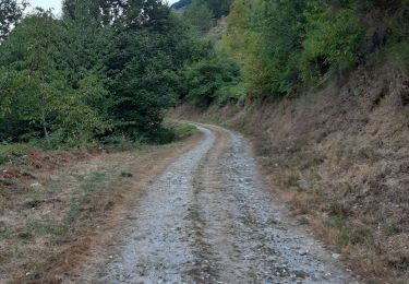 Excursión Marcha nórdica Orlu - Orlu, col de l'Osque, Porteille d'Orgeix, Orgeix - Photo