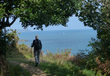 Trail Walking Plouha - Falaises de Plouha - Photo