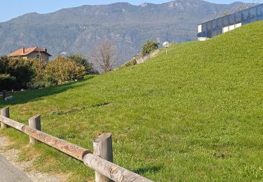 Excursión Carrera Aix-les-Bains - jogging Aix  - Photo