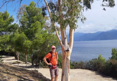 Tour Wandern Saint-Florent - plage de lotu - Photo