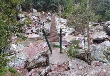 Trail Walking Calenzana - refuge de Carrozzu depuis Bonifatu - Photo
