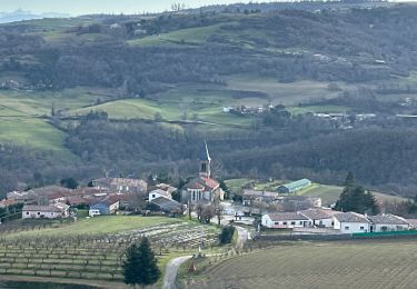 Randonnée sport Saint-Sylvestre - St Sylvestre Croix de Veyrier - Photo