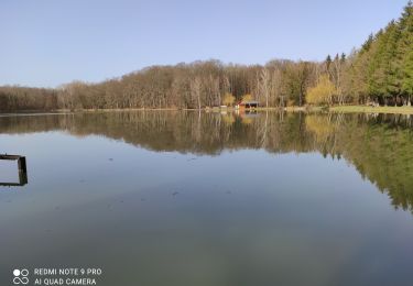 Trail Walking Heimsbrunn - heimsbrunn - Photo