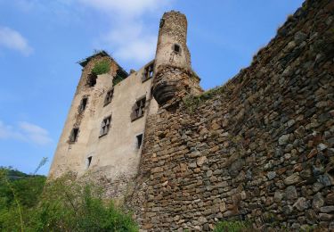 Excursión Senderismo Molompize - Cantal - Molompize - Aurouze et Suc de Védrines - 17.7km 770m 7h05 - 2019 07 02 - Photo