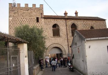 Tocht Te voet Caserta - IT-607 - Photo